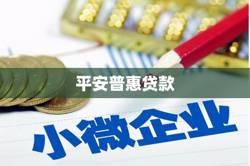 猇亭平安普惠贷款