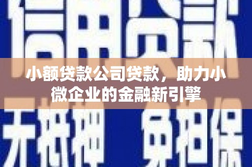 猇亭小额贷款公司贷款，助力小微企业的金融新引擎