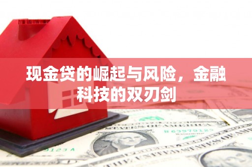猇亭现金贷的崛起与风险，金融科技的双刃剑