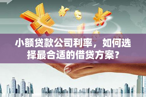 猇亭小额贷款公司利率，如何选择最合适的借贷方案？