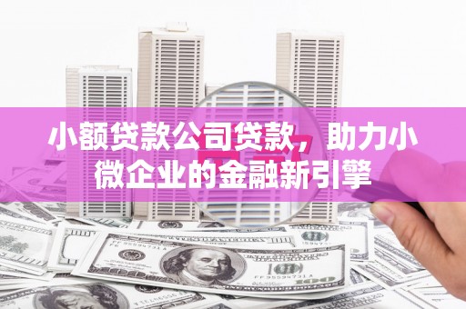 猇亭小额贷款公司贷款，助力小微企业的金融新引擎