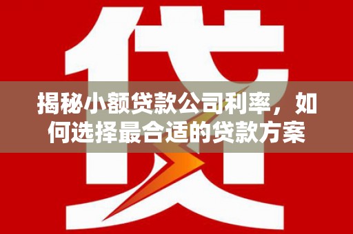 猇亭揭秘小额贷款公司利率，如何选择最合适的贷款方案