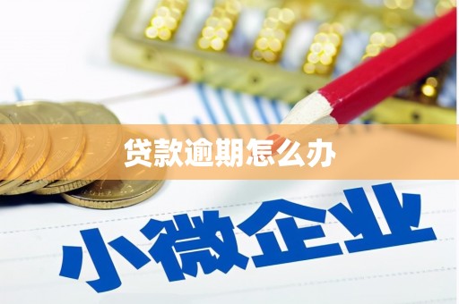 猇亭贷款逾期怎么办