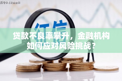 猇亭贷款不良率攀升，金融机构如何应对风险挑战？