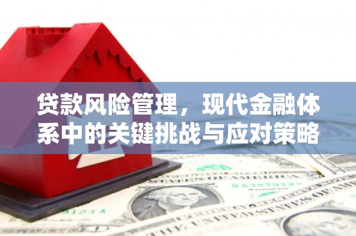 猇亭贷款风险管理，现代金融体系中的关键挑战与应对策略