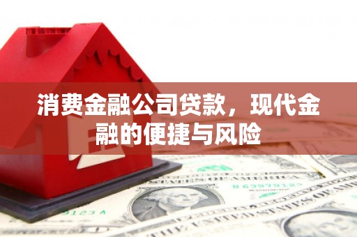 猇亭消费金融公司贷款，现代金融的便捷与风险