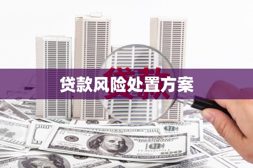 猇亭贷款风险处置方案