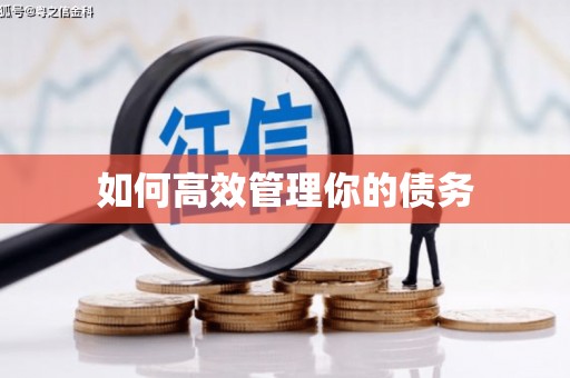 猇亭如何高效管理你的债务