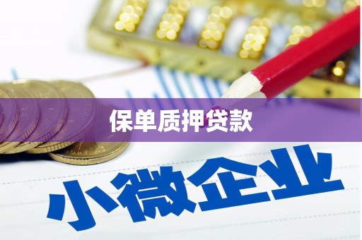 猇亭保单质押贷款