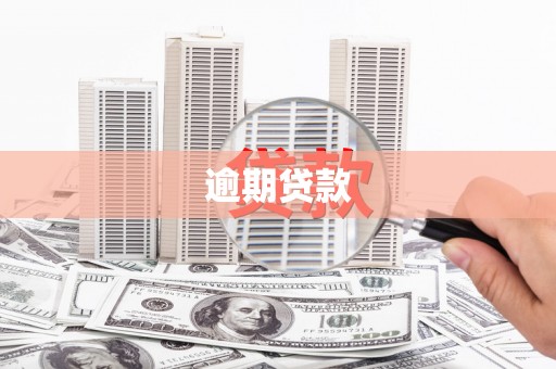 猇亭逾期贷款