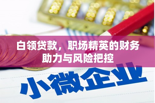 猇亭白领贷款，职场精英的财务助力与风险把控